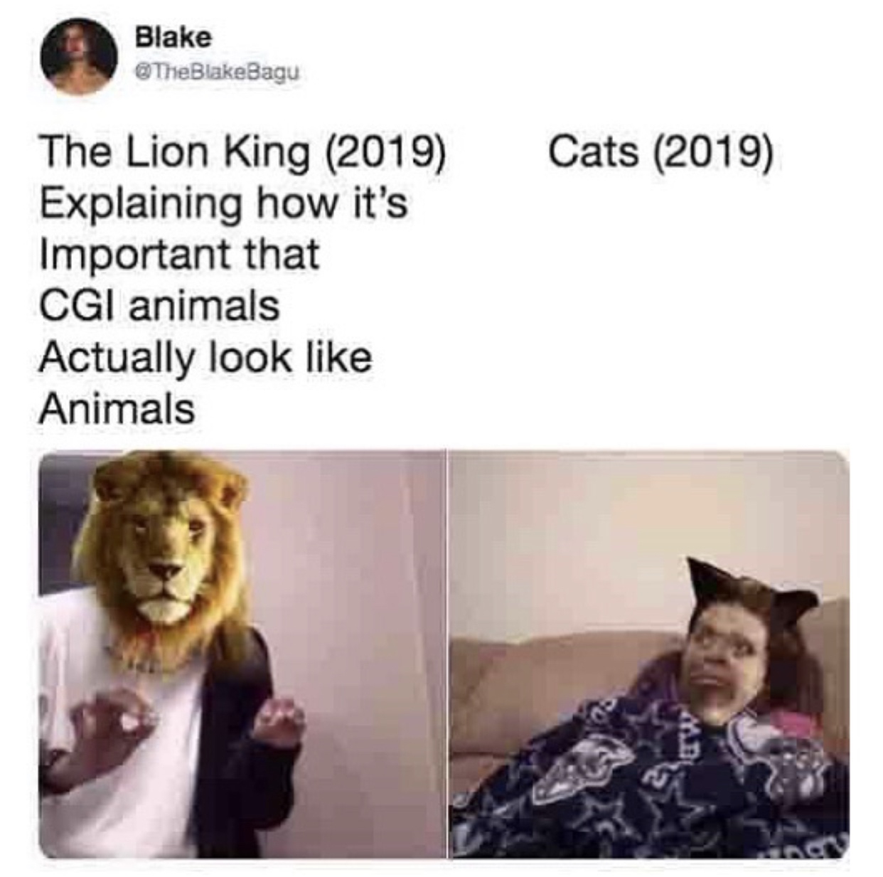 me explaining meme - Blake Cats 2019 The Lion King 2019 Explaining how it's Important that Cgi animals Actually look Animals