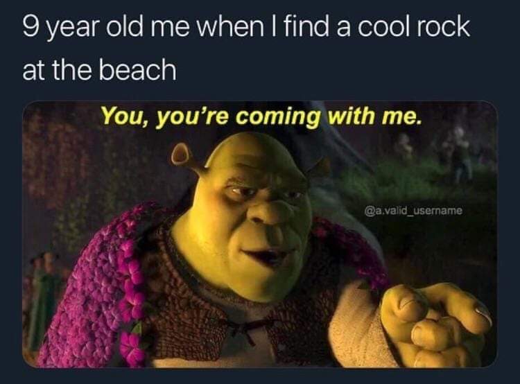 shrek you re coming with me - 9 year old me when I find a cool rock at the beach You, you're coming with me.