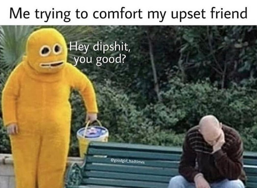 hey dipshit you good - Me trying to comfort my upset friend Hey dipshit, you good?
