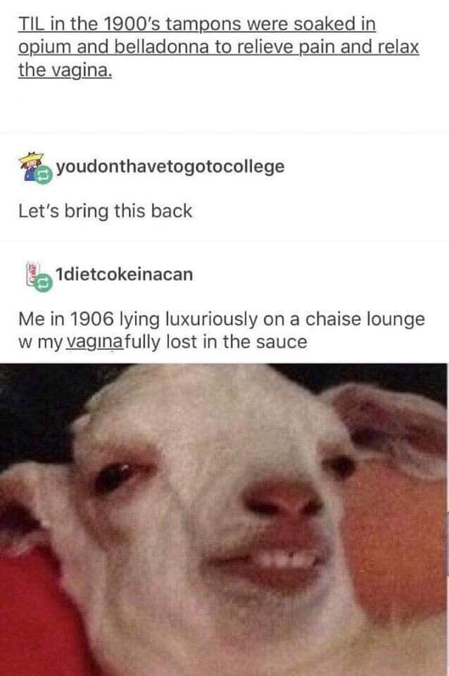 lost in the sauce meme - Til in the 1900's tampons were soaked in opium and belladonna to relieve pain and relax the vagina. youdonthavetogotocollege Let's bring this back 1dietcokeinacan Me in 1906 lying luxuriously on a chaise lounge w my vagina fully l