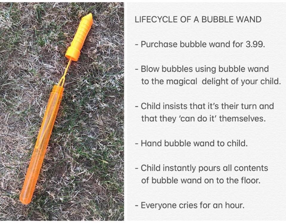 soil - Lifecycle Of A Bubble Wand Purchase bubble wand for 3.99. Blow bubbles using bubble wand to the magical delight of your child. Child insists that it's their turn and that they 'can do it' themselves. Hand bubble wand to child. Child instantly pours