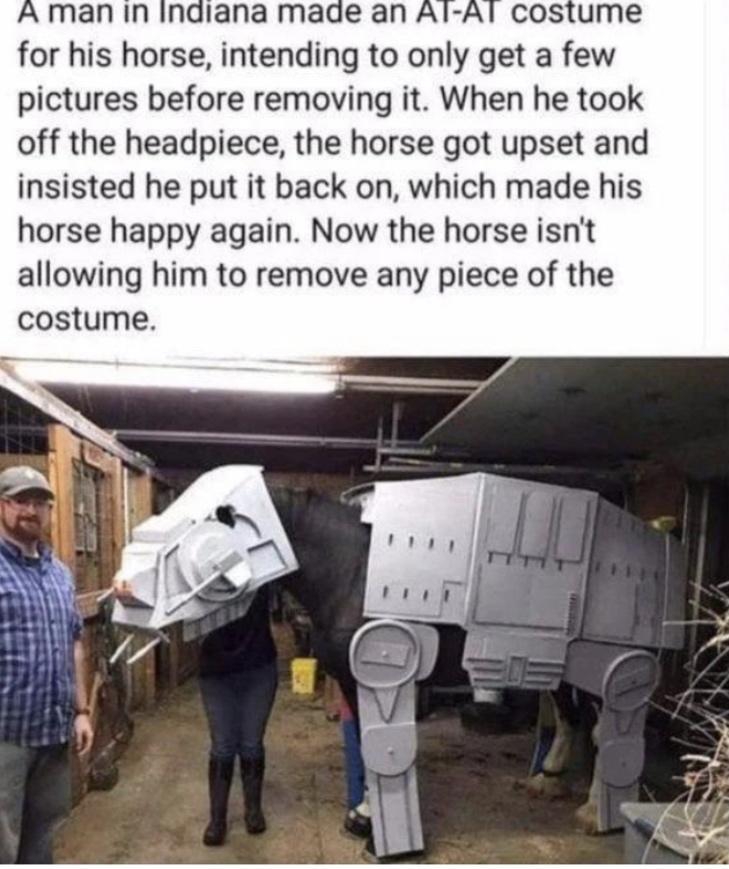 A man in Indiana made an AtAt costume for his horse, intending to only get a few pictures before removing it. When he took off the headpiece, the horse got upset and insisted he put it back on, which made his horse happy again. Now the horse isn't allowin