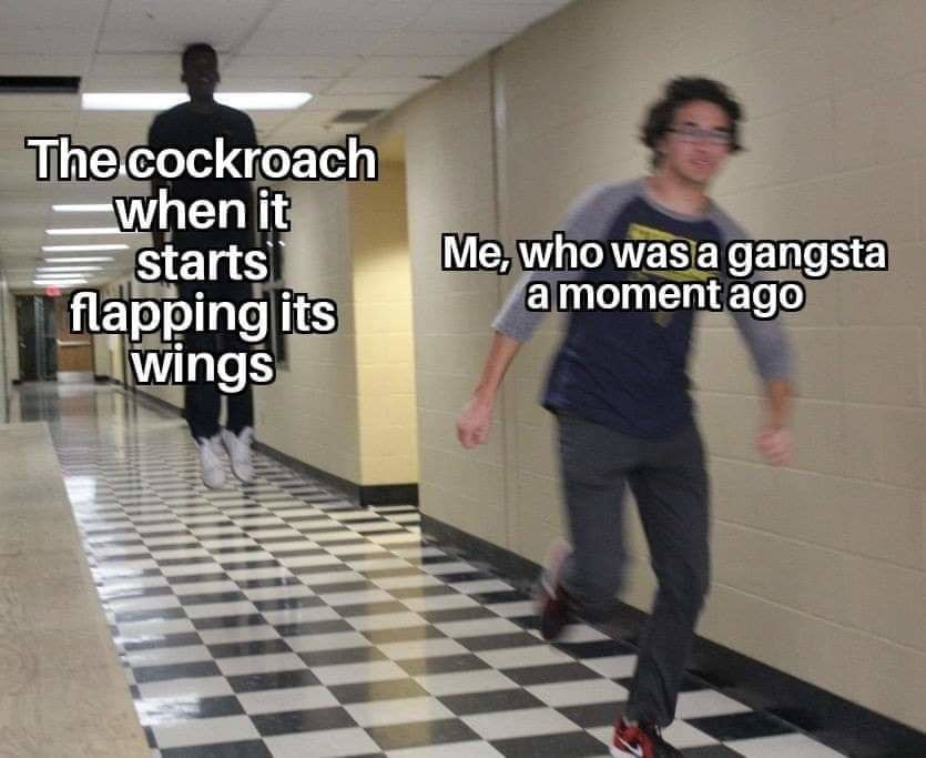 The cockroach when it starts flapping its wings Me, who was a gangsta a moment ago