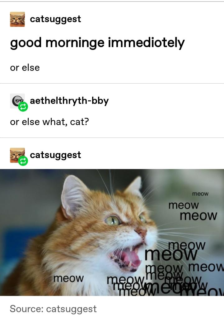 good morning immediotely - catsuggest good morninge immediotely or else Cs, aethelthrythbby or else what, cat? catsuggest meow meow meow meow meow meow meow. meow moon meer Source catsuggest