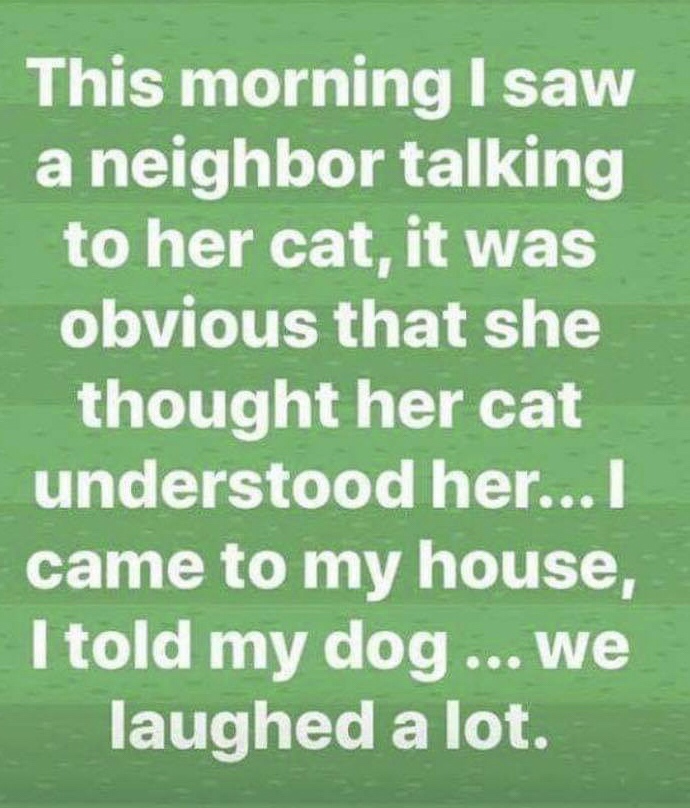 grass - This morning I saw a neighbor talking to her cat, it was obvious that she thought her cat understood her...I came to my house, I told my dog... we laughed a lot.
