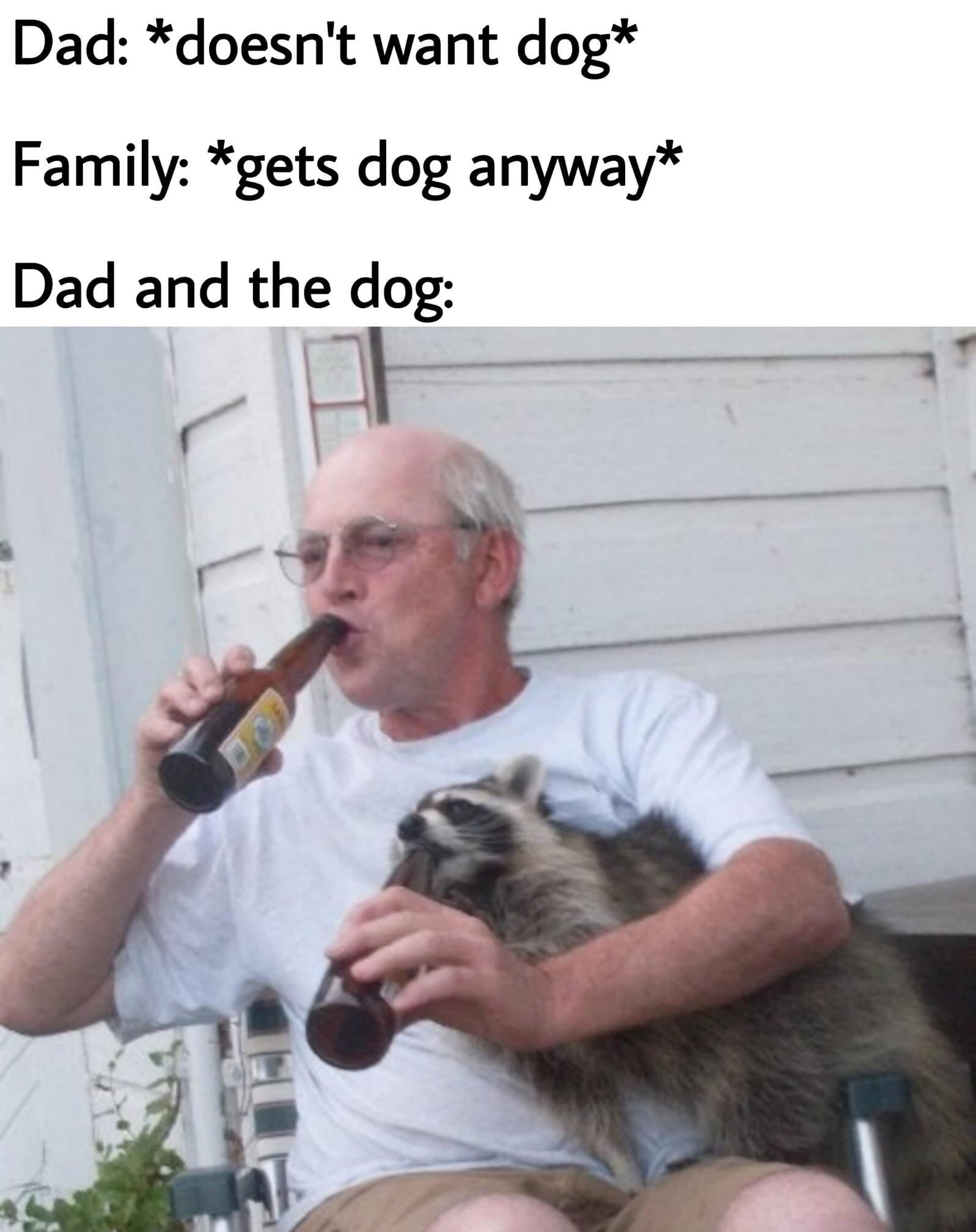 dad doesn t want dog meme - Dad doesn't want dog Family gets dog anyway Dad and the dog