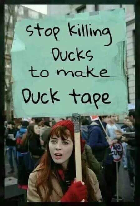 stop killing meme - stop killing Ducks to make Duck tape