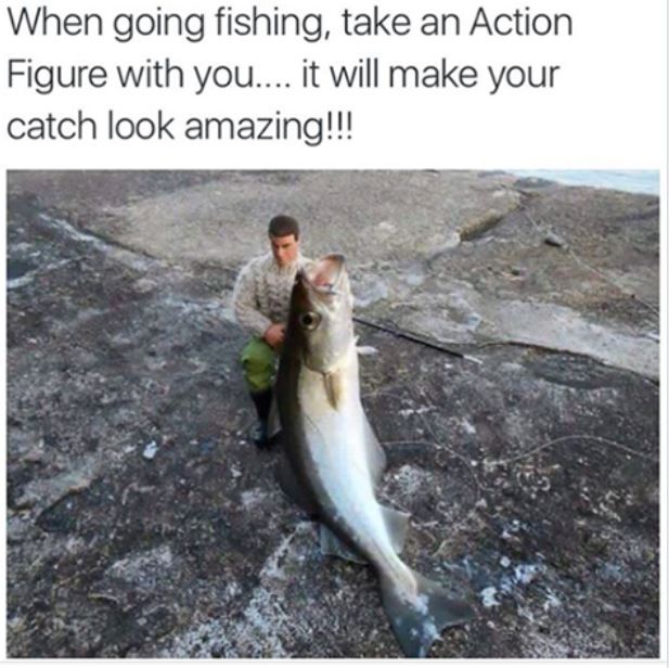 fishing action figure meme - When going fishing, take an Action Figure with you.... it will make your catch look amazing!!!