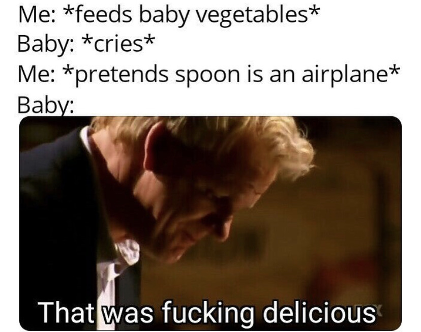 fucking delicious meme - Me feeds baby vegetables Baby cries Me pretends spoon is an airplane Baby That was fucking delicious