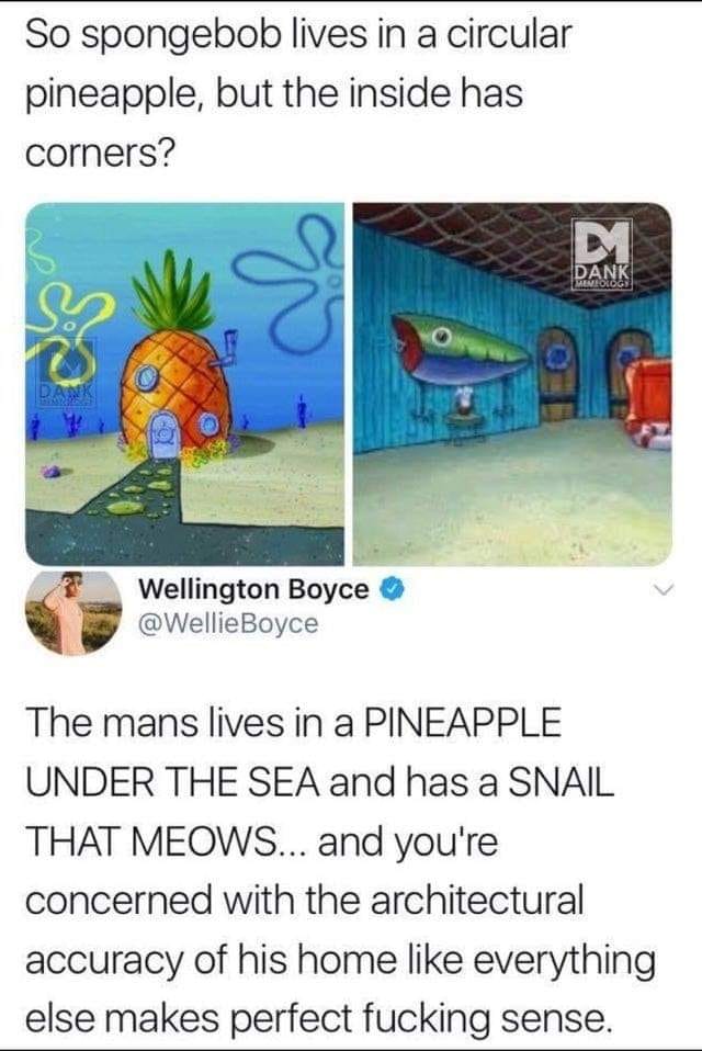 funny spongebob - So spongebob lives in a circular pineapple, but the inside has corners? Dank Memoto Wellington Boyce Boyce The mans lives in a Pineapple Under The Sea and has a Snail That Meows... and you're concerned with the architectural accuracy of 