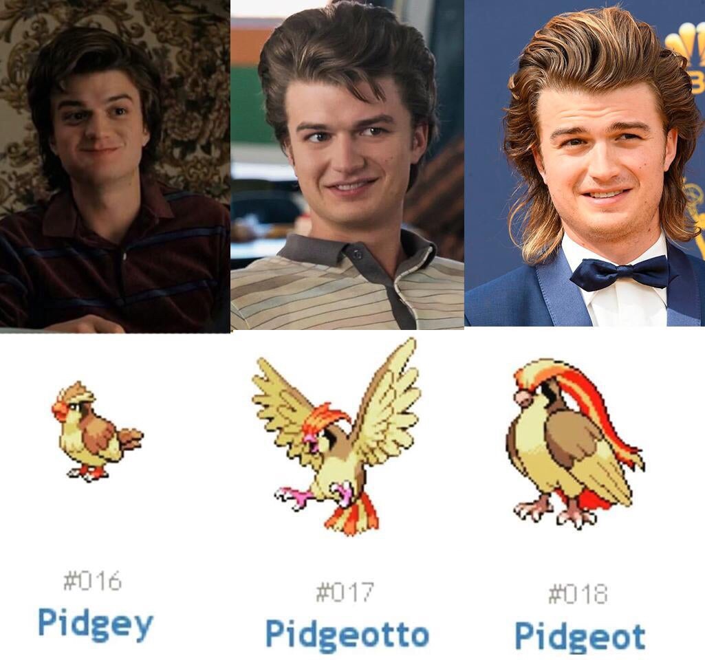 steve's hair growing - Pidgey Pidgeotto Pidgeot