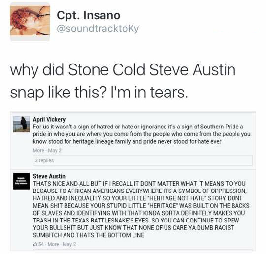 document - Cpt. Insano why did Stone Cold Steve Austin snap this? I'm in tears. April Vickery For us it wasn't a sign of hatred or hate or ignorance it's a sign of Southern Pride a pride in who you are where you come from the people who come from the peop