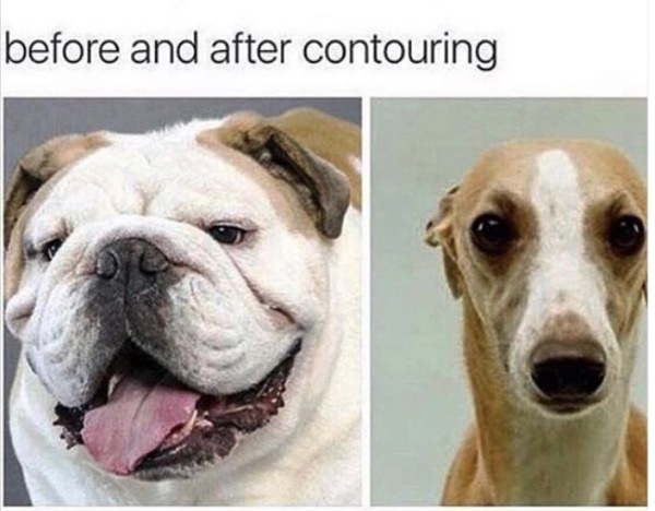 chf funny - before and after contouring