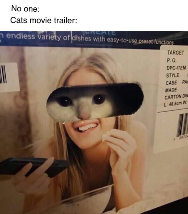 giofilms memes - No one Cats movie trailer n endless variety of dishes with easytouse preset functions Target P.O. DpcItem Style Case Pa Made Carton Dim L 48.8cm W