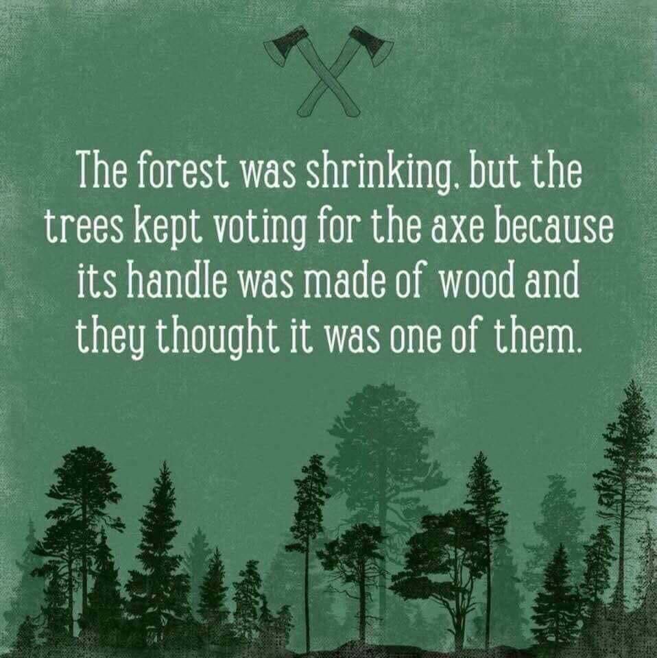 forest was shrinking - The forest was shrinking, but the trees kept voting for the axe because its handle was made of wood and they thought it was one of them.