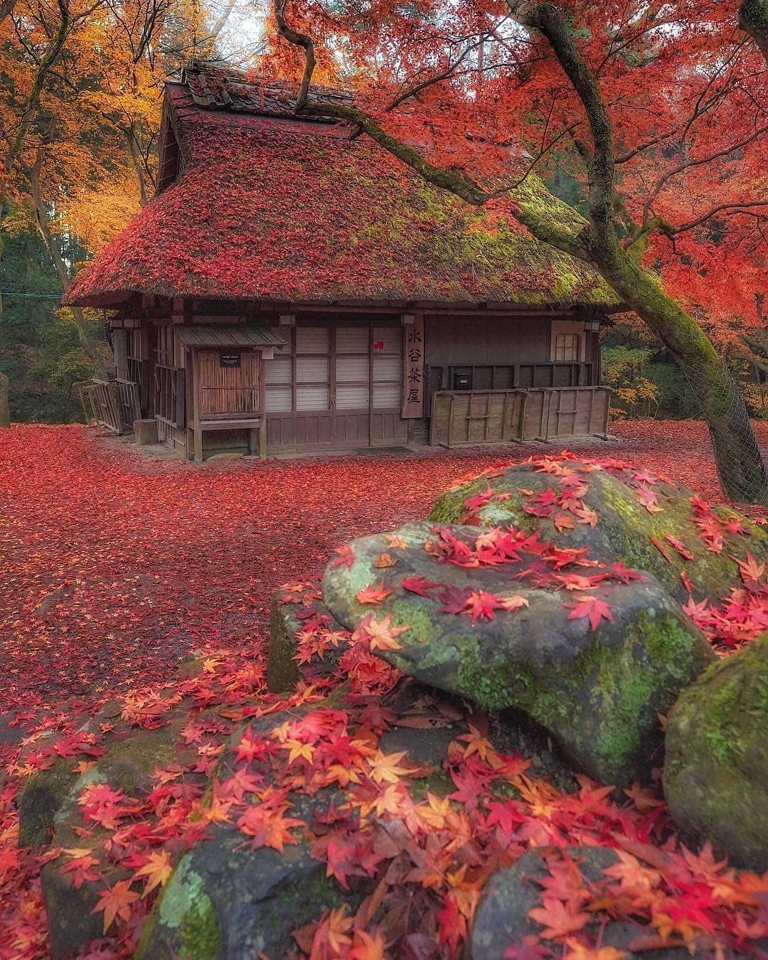 japan beautiful view -