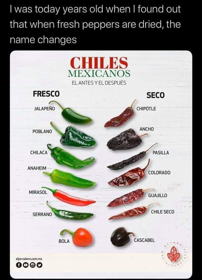 mexican peppers - I was today years old when I found out that when fresh peppers are dried, the name changes Chiles Mexicanos El Antes Y El Despus Fresco Seco Jalapeo Chipotle Poblano Ancho Chilaca Pasilla Anaheim Colorado Mirasol Guajillo Chile Seco Serr