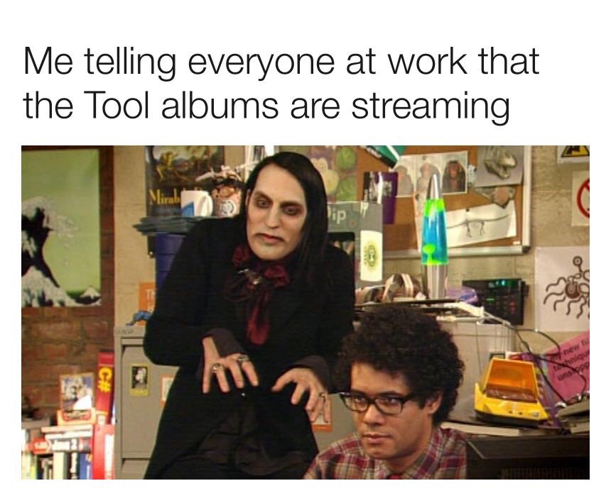 presentation - Me telling everyone at work that the Tool albums are streaming Ip
