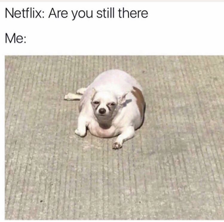 netflix are you still there - Netflix Are you still there Me