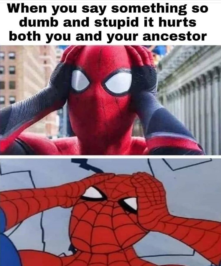 spider man far from home identity - When you say something so dumb and stupid it hurts both you and your ancestor