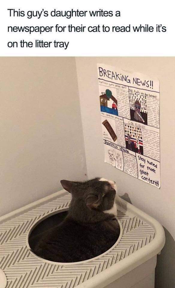 newspaper made by kids - This guy's daughter writes a newspaper for their cat to read while it's on the litter tray Breaking News!! Sta Sex Thate great content