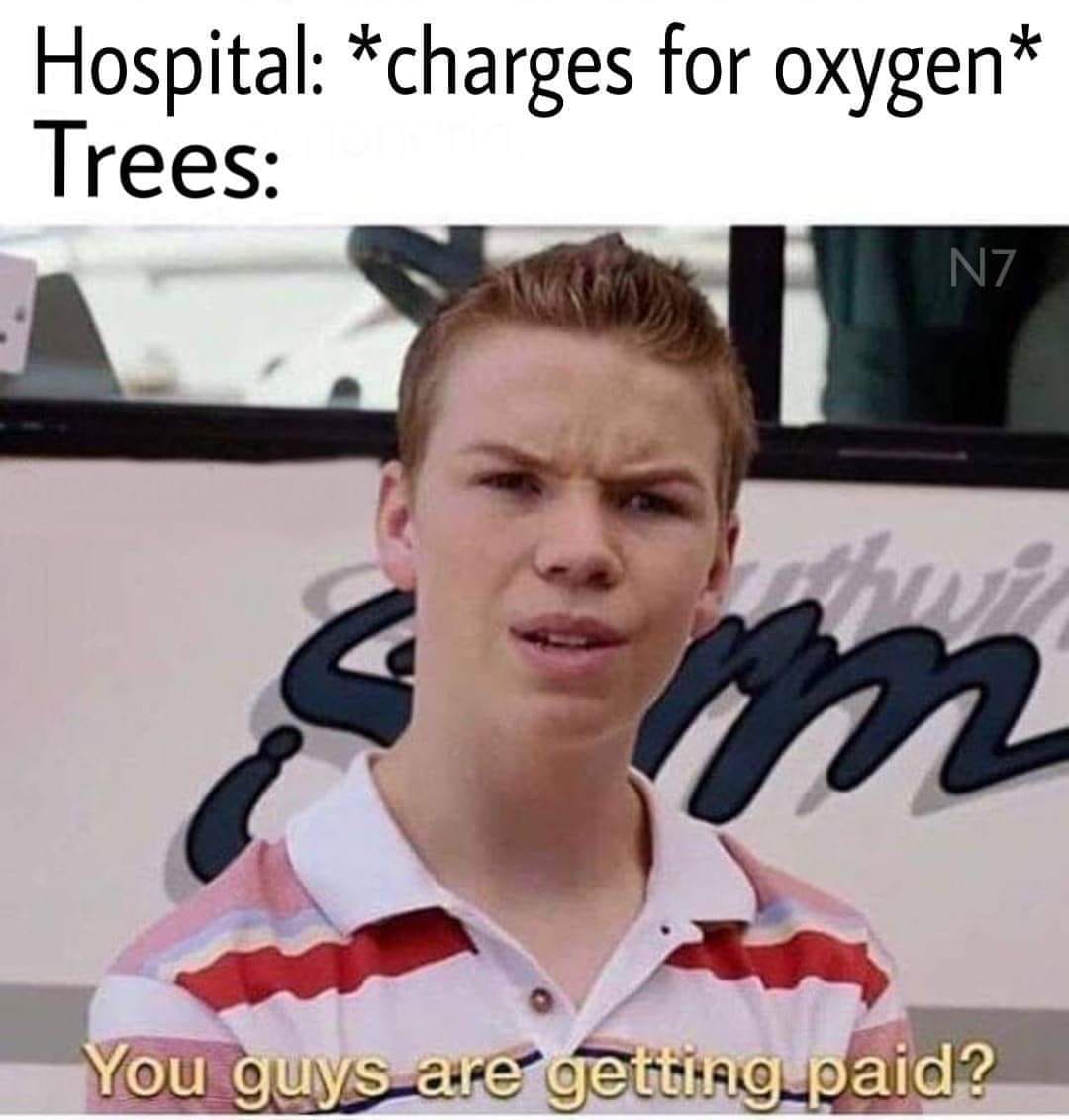 hospital charges for oxygen trees - Hospital charges for oxygen Trees Nz You guys are getting paid?
