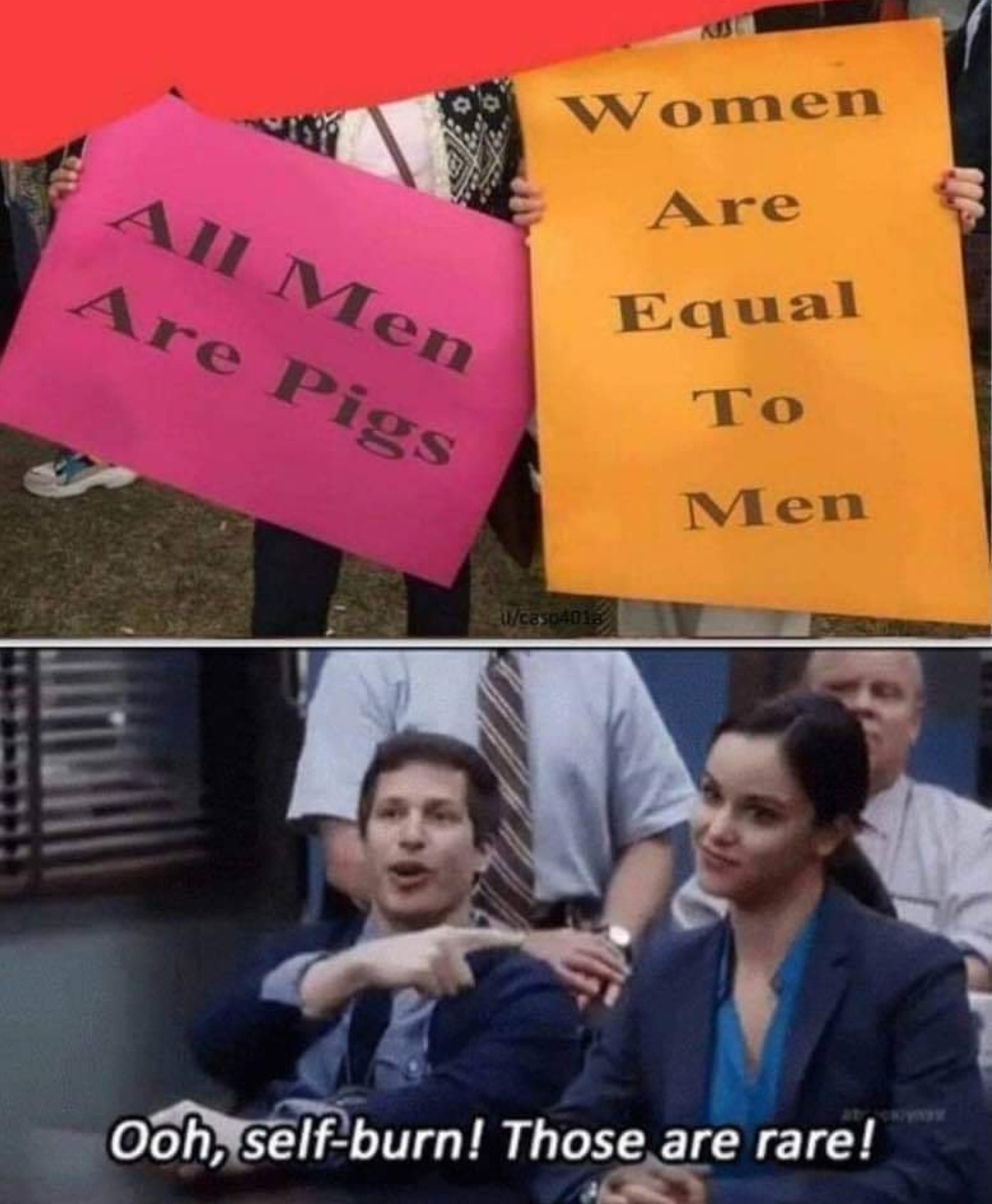 self own those are rare - Women All Men Are Pigs Are Equal To Men Ooh, selfburn! Those are rare!