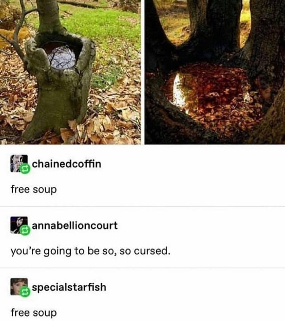 chainedcoffin free soup annabellioncourt you're going to be so, so cursed. E specialstarfish free soup