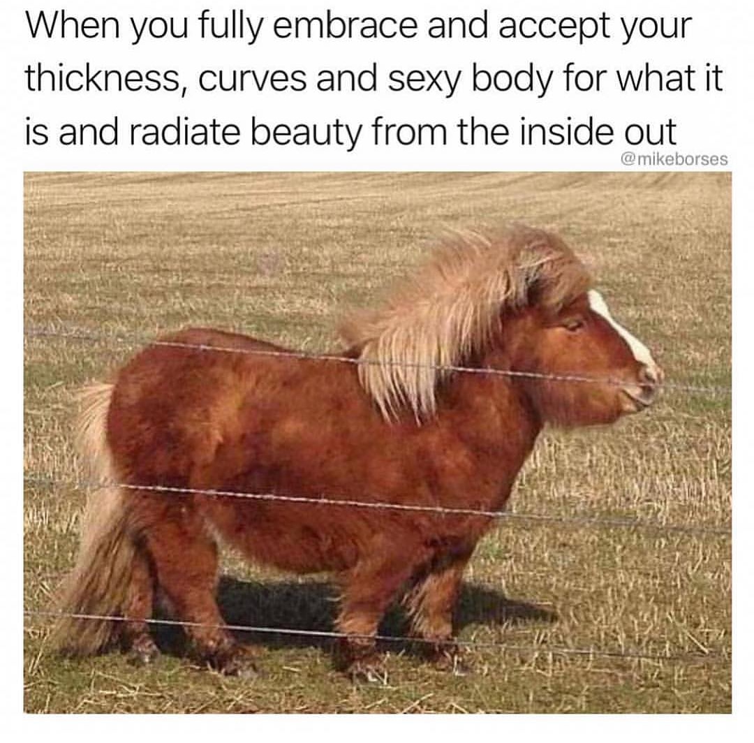 chubby pony - When you fully embrace and accept your thickness, curves and sexy body for what it is and radiate beauty from the inside out