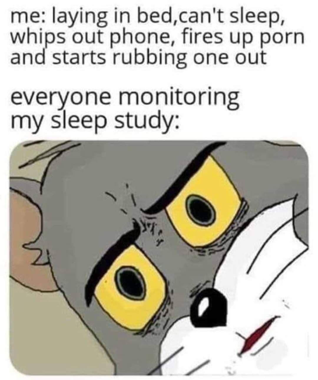 unsettled tom memes - me laying in bed,can't sleep, whips out phone, fires up porn and starts rubbing one out everyone monitoring my sleep study