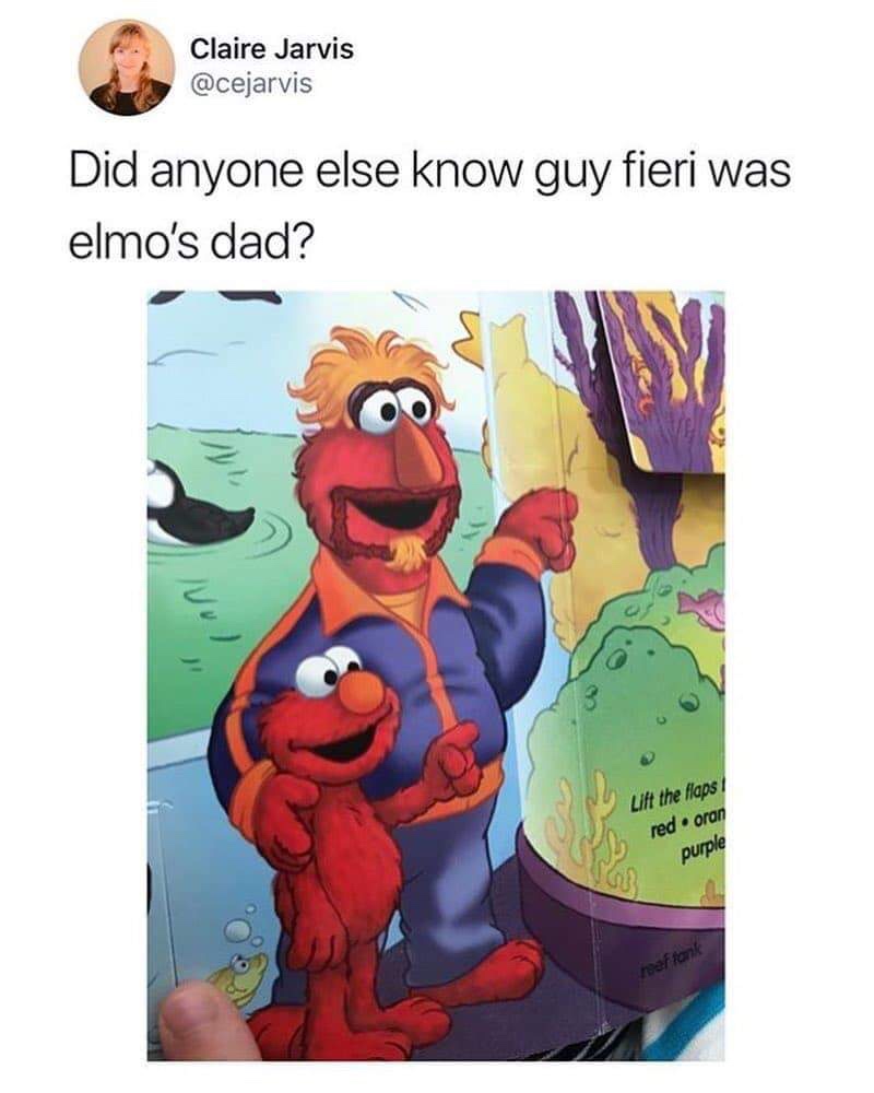 elmo meme - Claire Jarvis Did anyone else know guy fieri was elmo's dad? Lift the flaps red.oran purple
