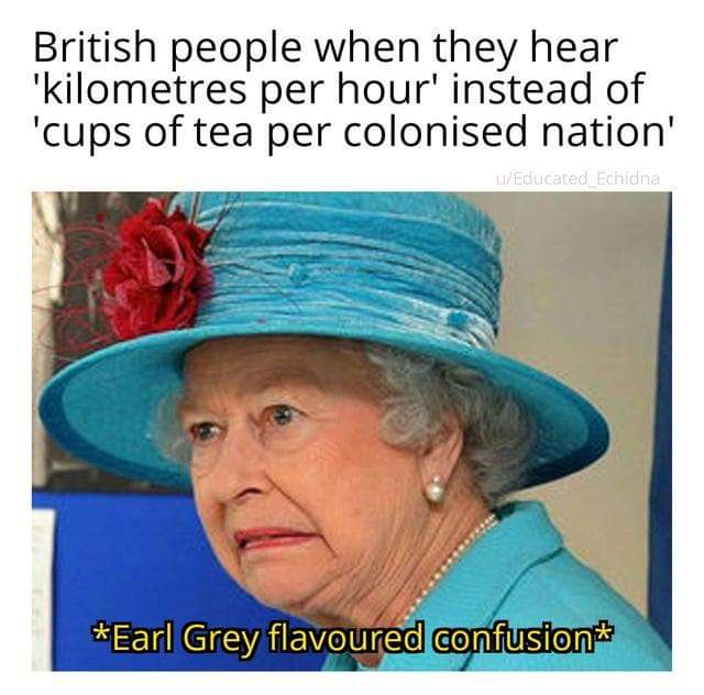 someone puts the milk in first - British people when they hear 'kilometres per hour' instead of 'cups of tea per colonised nation' L'Educated Echidna Earl Grey flavoured confusion