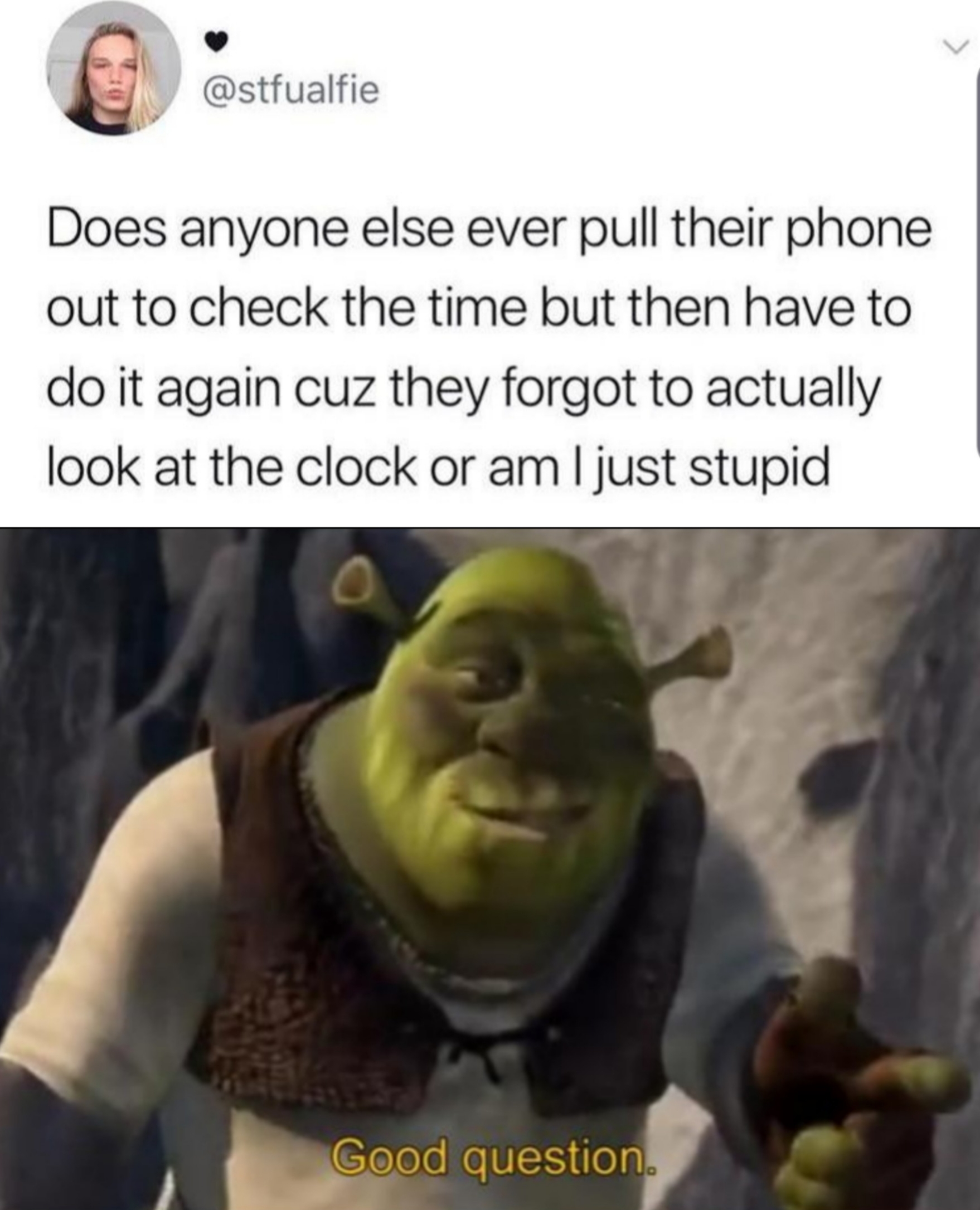 that's a good question meme - stfalfie Does anyone else ever pull their phone out to check the time but then have to do it again cuz they forgot to actually look at the clock or am I just stupid Good question
