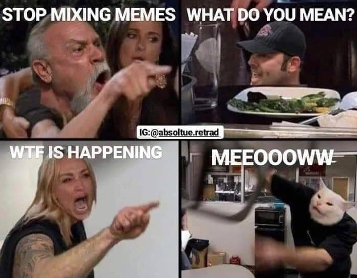 woman yelling at cat american chopper - Stop Mixing Memes What Do You Mean? Ig .retrad Wtf Is Happening Meeoooww
