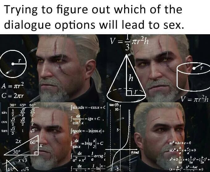 witcher meme - Trying to figure out which of the dialogue options will lead to sex.