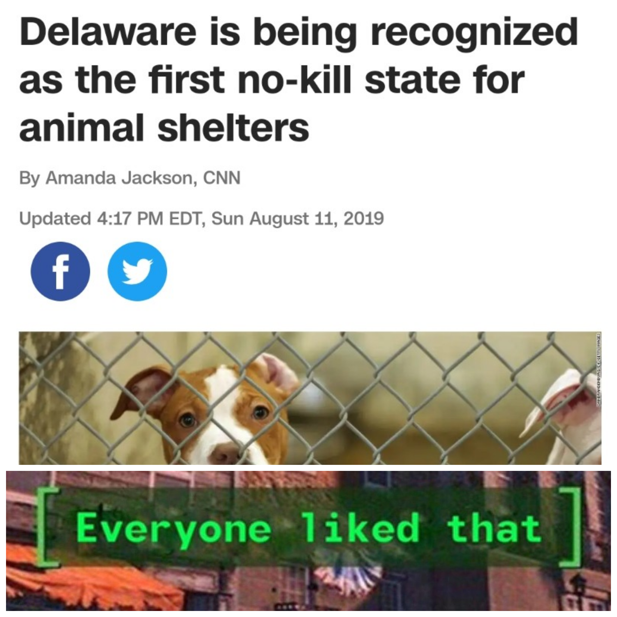 Delaware is being recognized as the first nokill state for animal shelters By Amanda Jackson, Cnn Updated Edt, Sun fy Everyone d that