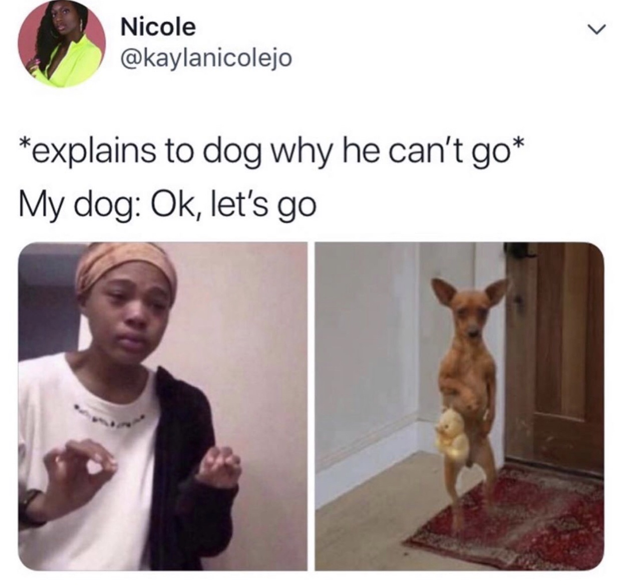 me explaining a song i heard years ago knowing only the melody - Nicole explains to dog why he can't go My dog Ok, let's go