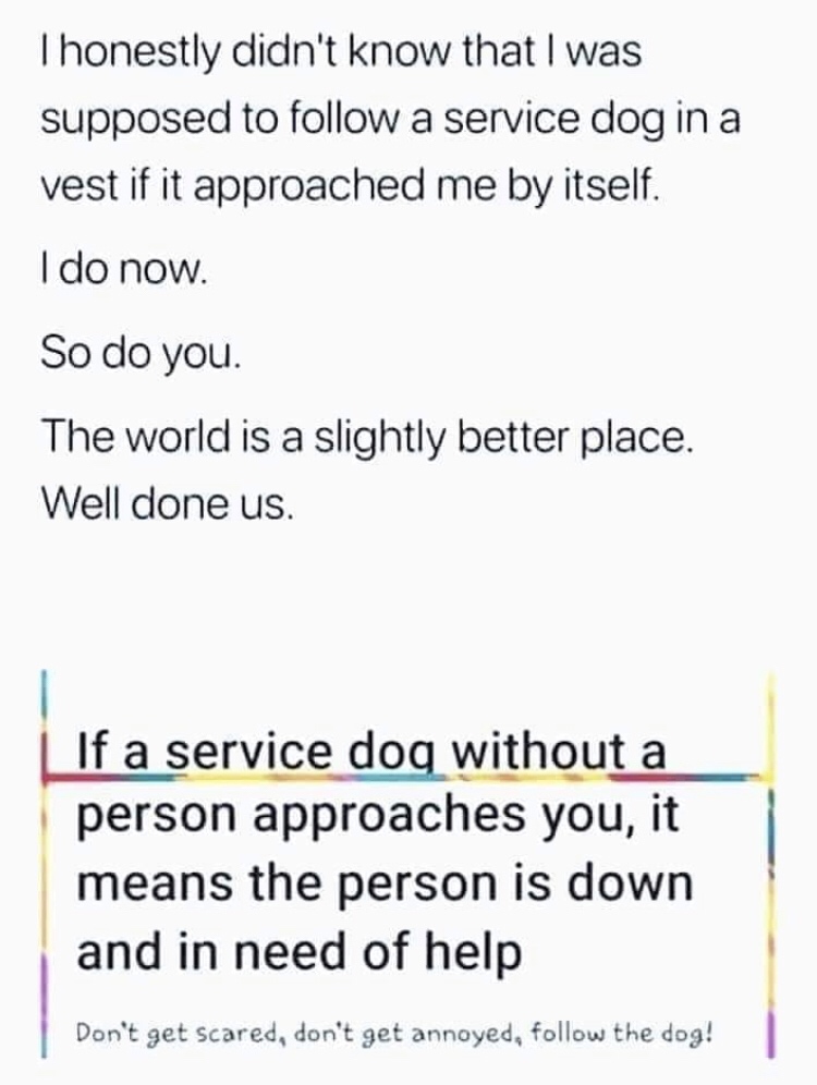 document - Thonestly didn't know that I was supposed to a service dog in a vest if it approached me by itself. I do now So do you. The world is a slightly better place. Well done us. | If a service dog without a person approaches you, it means the person