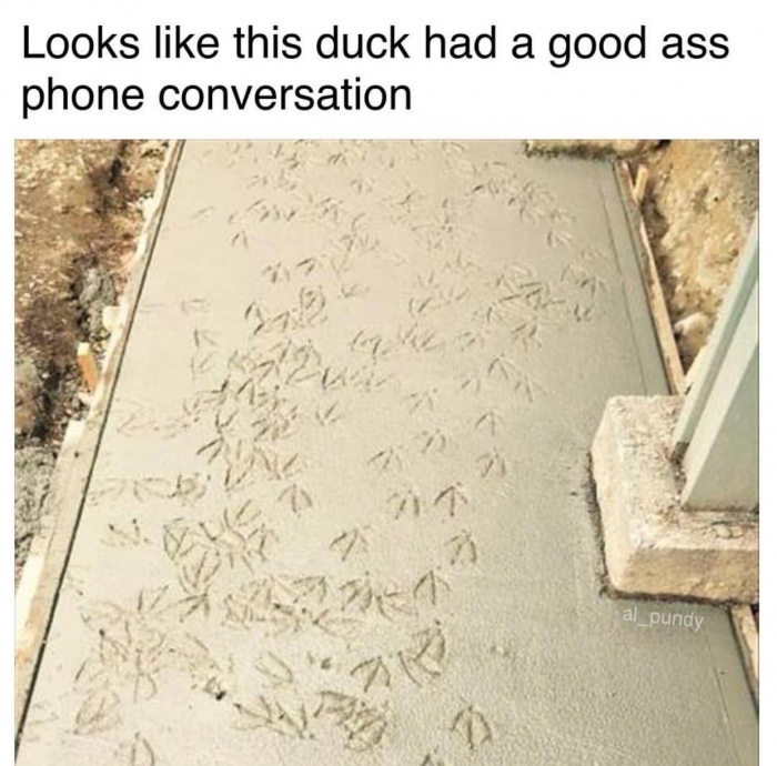 phone conversation meme - Looks this duck had a good ass phone conversation al_pundy