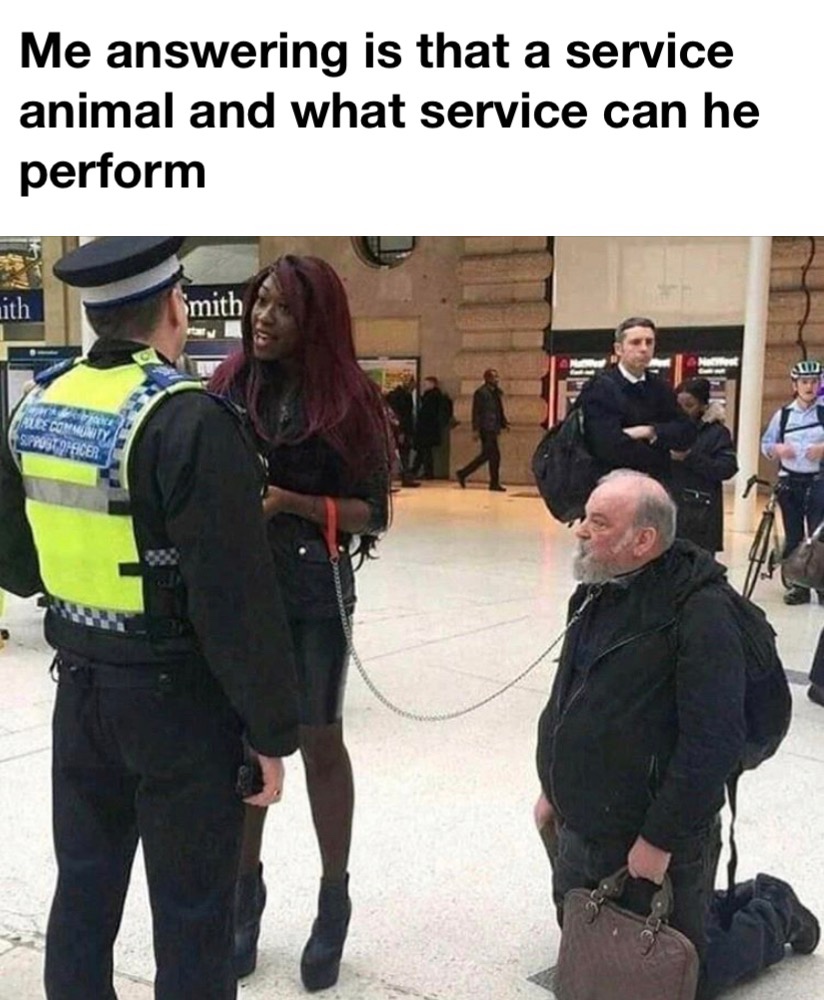 nigerian woman turns man into pet - Me answering is that a service animal and what service can he perform ith Smith
