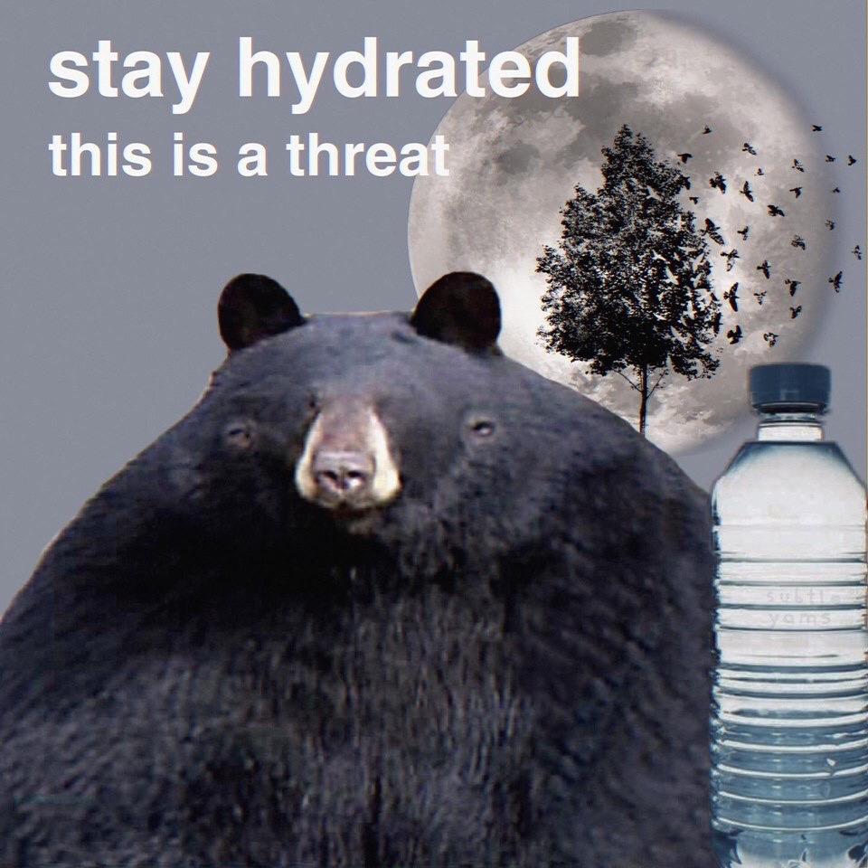 Meme - stay hydrated this is a threat