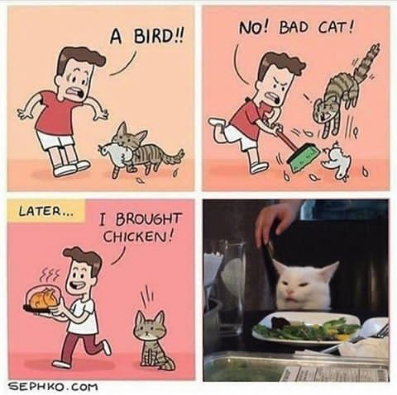 cat bird chicken comic - A Bird!! No! Bad Cat! Later... I Brought Chicken! Sephko.Com
