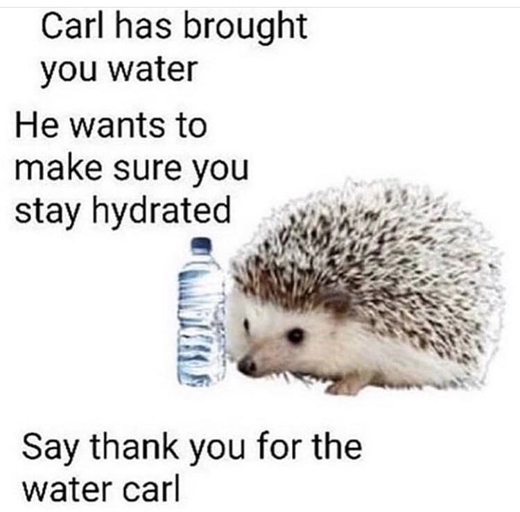 carl has brought you water - Carl has brought you water He wants to make sure you stay hydrated Say thank you for the water carl