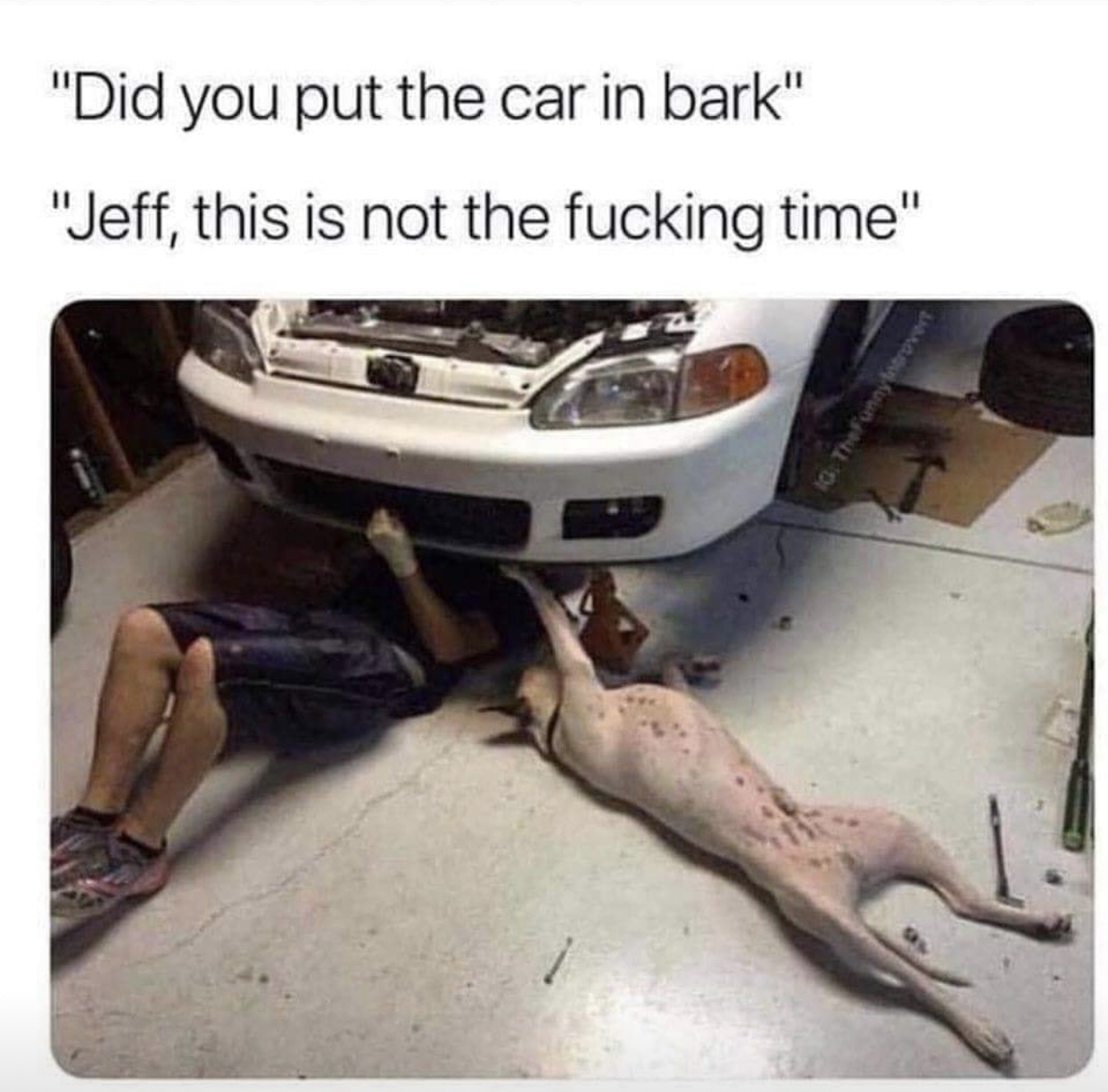 did you put the car in bark - "Did you put the car in bark" "Jeff, this is not the fucking time" The funny