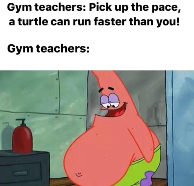 fat for summer memes - Gym teachers Pick up the pace, a turtle can run faster than you! Gym teachers