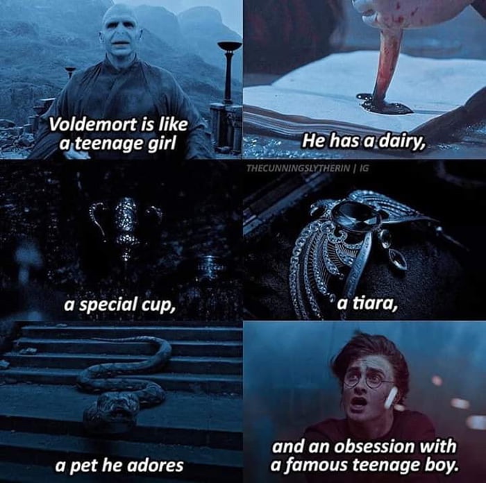 tom riddle's diary - Voldemort is a teenage girl He has a dairy, Thecunningslythering a special cup, "a tiara, and an obsession with a famous teenage boy. a pet he adores