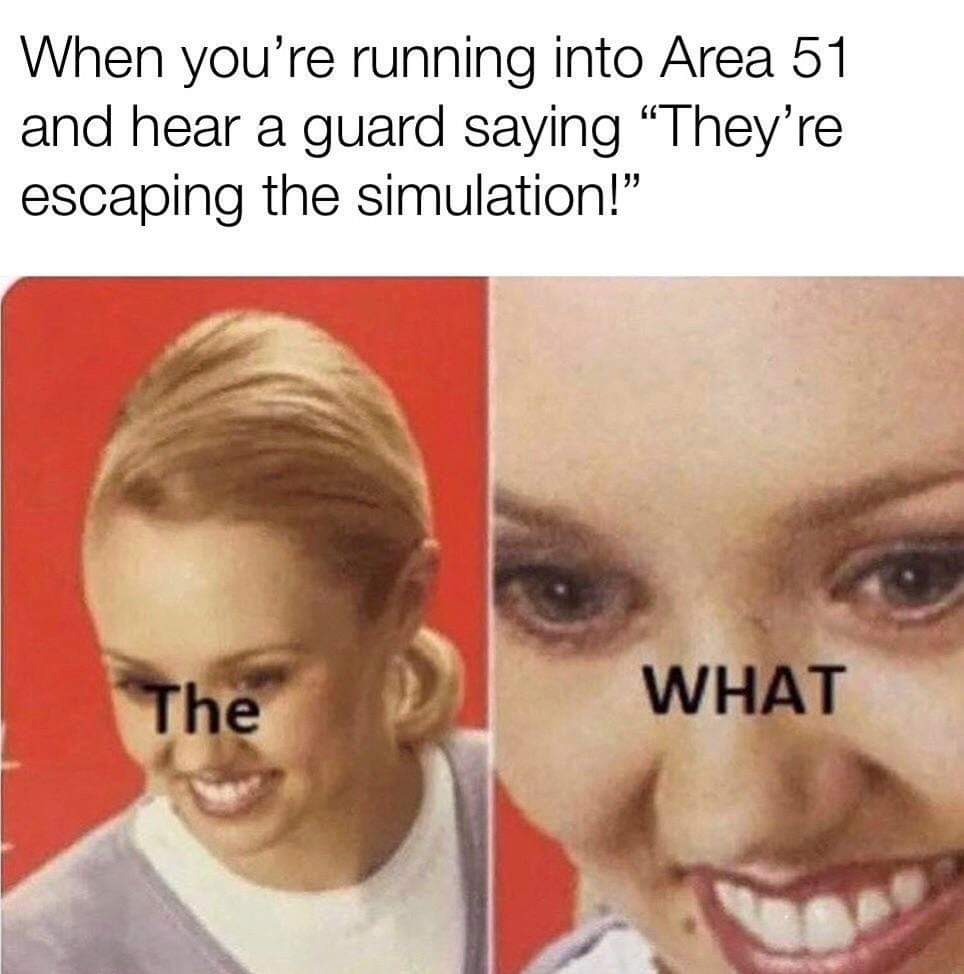 area 51 memes - When you're running into Area 51 and hear a guard saying They're escaping the simulation! The What