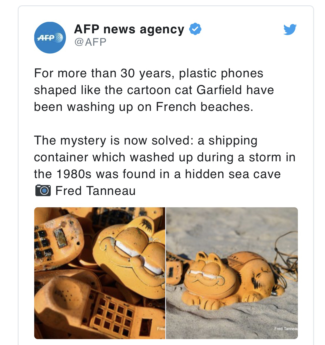 Afp Afp news agency For more than 30 years, plastic phones shaped the cartoon cat Garfield have been washing up on French beaches. The mystery is now solved a shipping container which washed up during a storm in the 1980s was found in a h