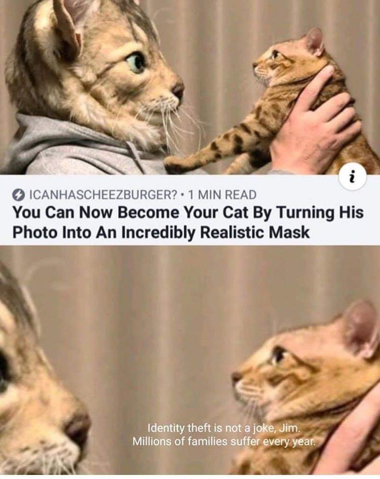 identity theft is not a joke cat - Icanhascheezburger?. 1 Min Read You Can Now Become Your Cat By Turning His Photo Into An Incredibly Realistic Mask Identity theft is not a joke, Jim. Millions of families suffer every year.