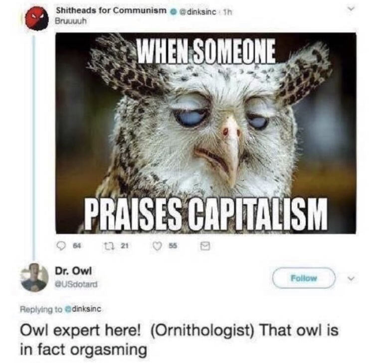 owl capitalism meme - Shitheads for Communism Bruuuuh dinksinch When Someone Praises Capitalism 64 7 21 559 Dr. Owl ausdotard edinksinc Owl expert here! Ornithologist That owl is in fact orgasming